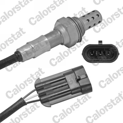 Oxygen Sensor